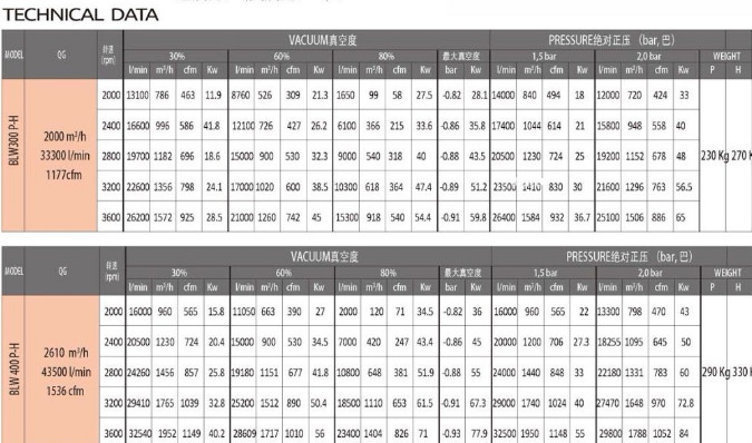 意大利BP（BATTIONI PAGANI）進(jìn)口真空泵