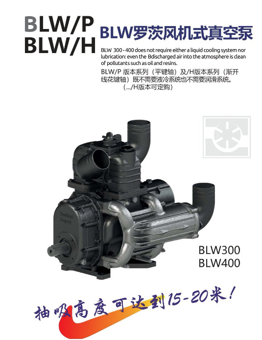 意大利BP（BATTIONI PAGANI）進(jìn)口真空泵
